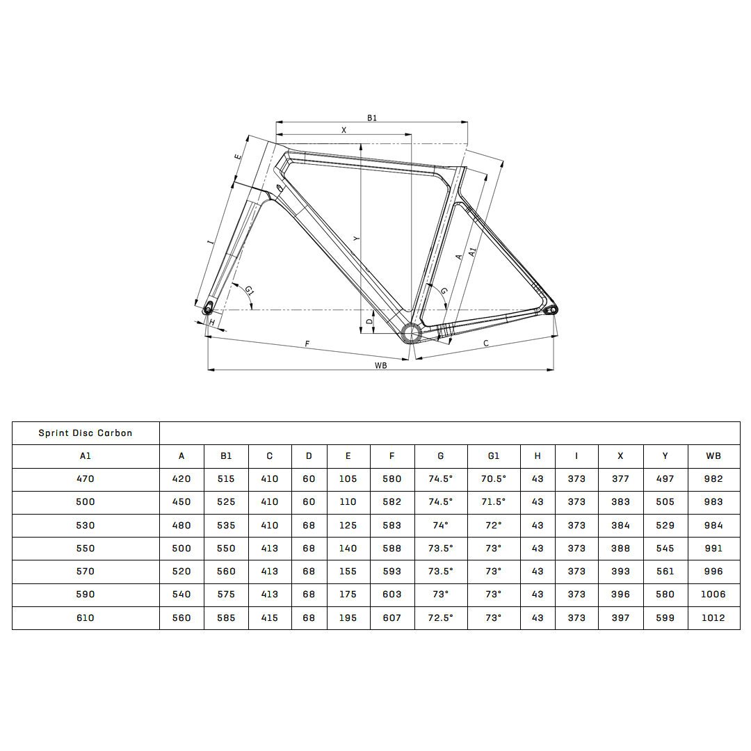 Bianchi SPRINT – Bild 2