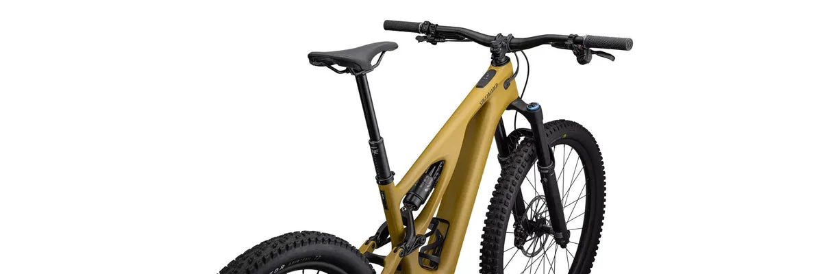 Specialized Turbo Levo Expert T-Typ, Bild 4