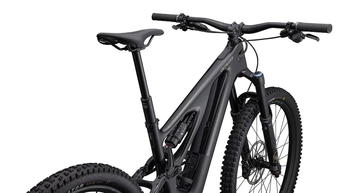 Specialized Turbo Levo Expert Carbon, Bild 5