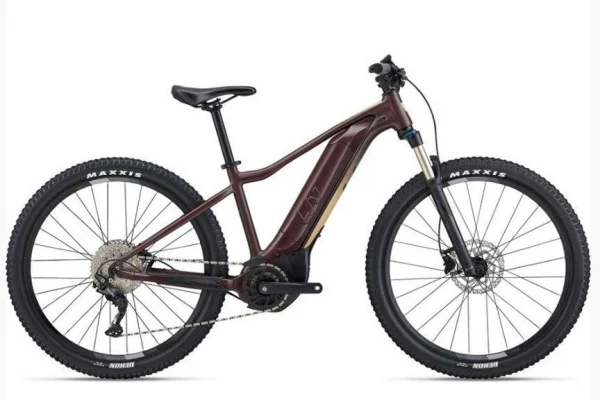 Tempt E+ 1 (Core/500Wh) M (NCO)