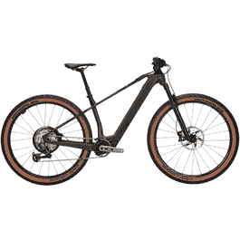Bulls SONIC EVO SX 2 - 29 Zoll 400Wh 12K 2026