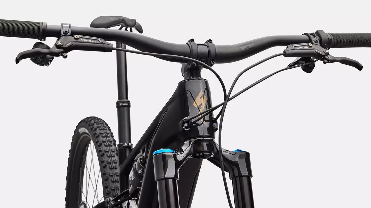 Specialized Levo R Expert, Bild 6