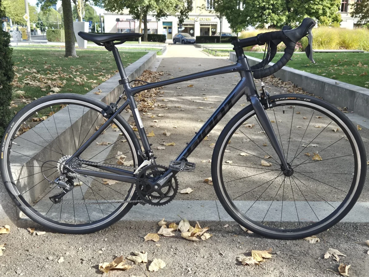 Giant Contend, Seitenansicht