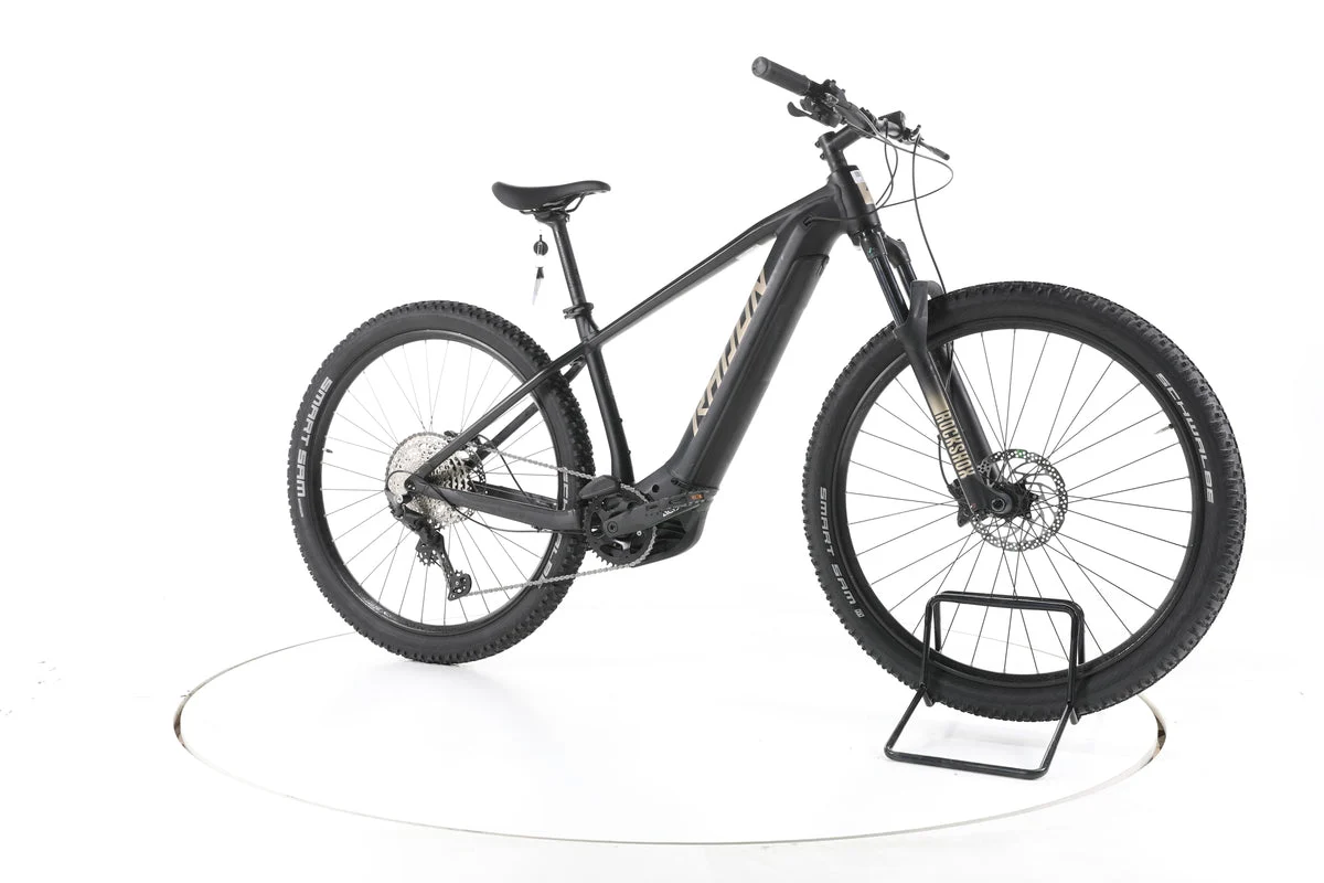 Radon Jealous Hybrid 8.0 2022, Bild 2