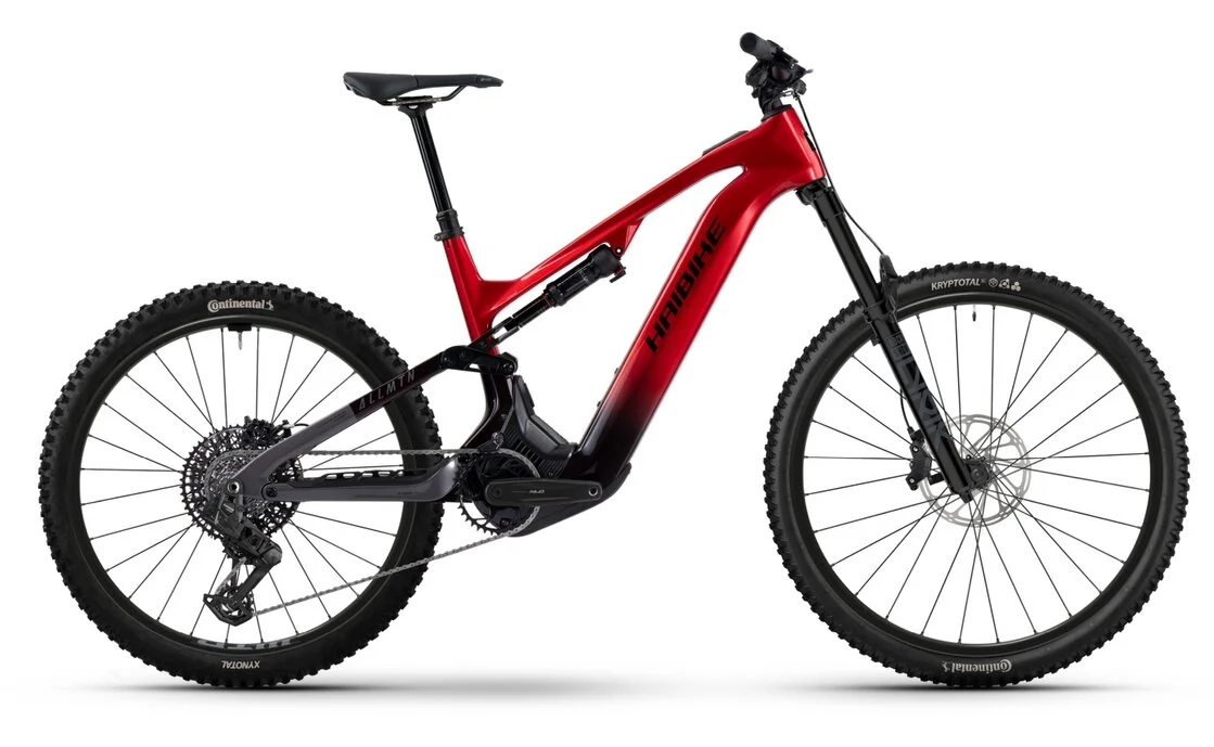 Haibike Allmtn CF 9 800 Wh 29 Fully, Bild 2