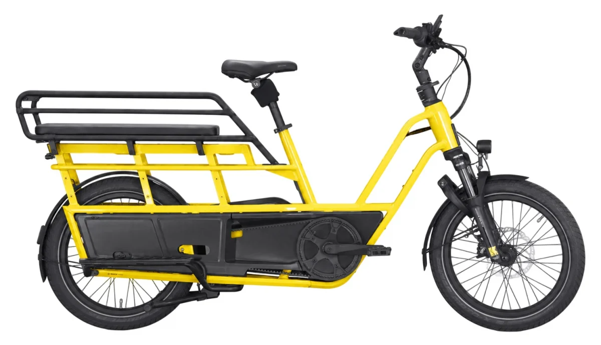 Kettler Flair L-N Belt + Passenger Kit 545 Wh Longtail 2027, Bild 2