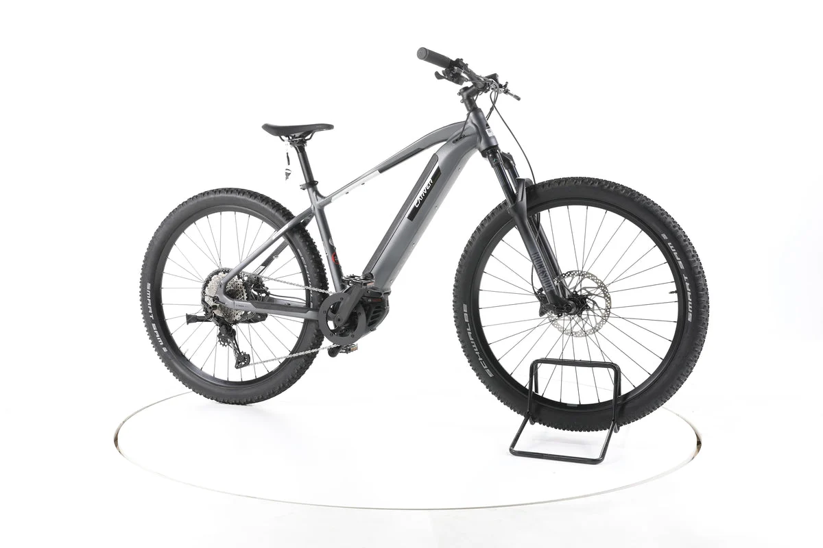 Carver Strict-E 2022, Bild 2