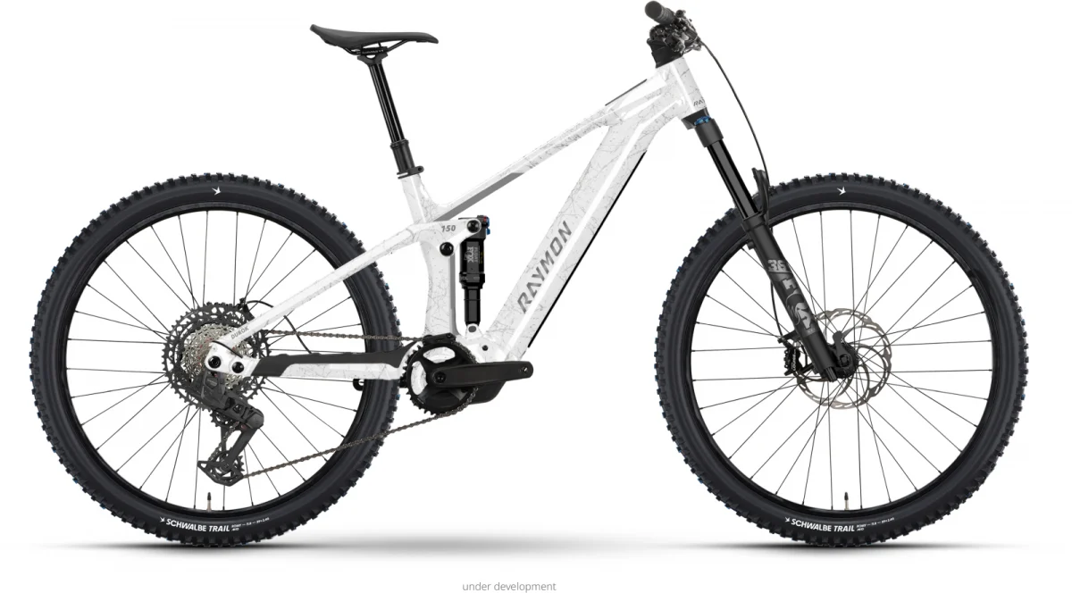 Raymon Durok Ultra 800 Wh Fully, Bild 3