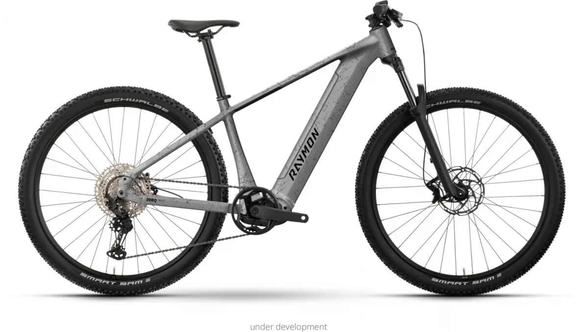Raymon Zorq Pure 504 Wh, Seitenansicht