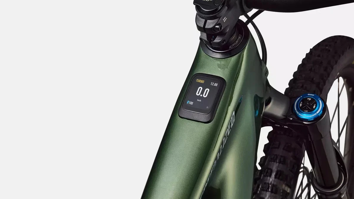 Specialized Levo 4 Expert Carbon CYPRESS DUST, Bild 8