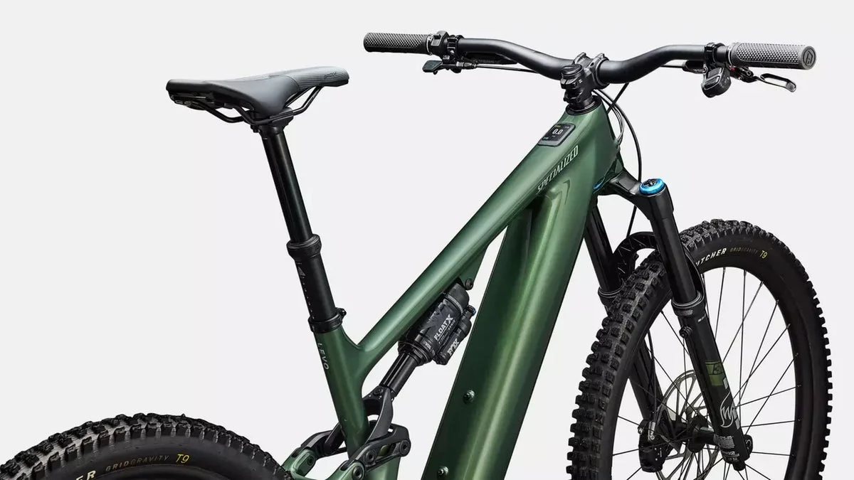 Specialized Levo 4 Expert Carbon CYPRESS DUST, Bild 2
