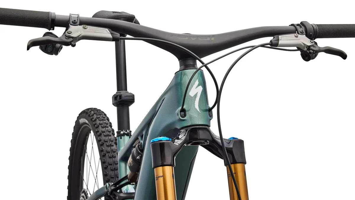 Specialized Levo R S-Works Fjord 2026, Bild 5