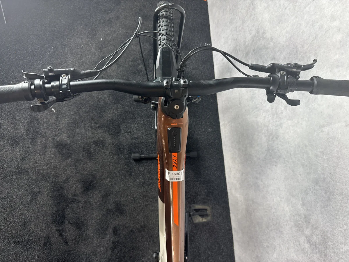 Haibike Lyke CF 10 2024, Bild 3