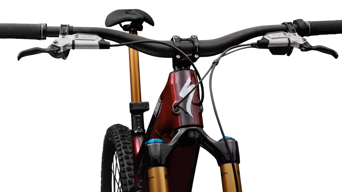 Specialized Levo 4 S-Works Carbon 2026, Bild 5