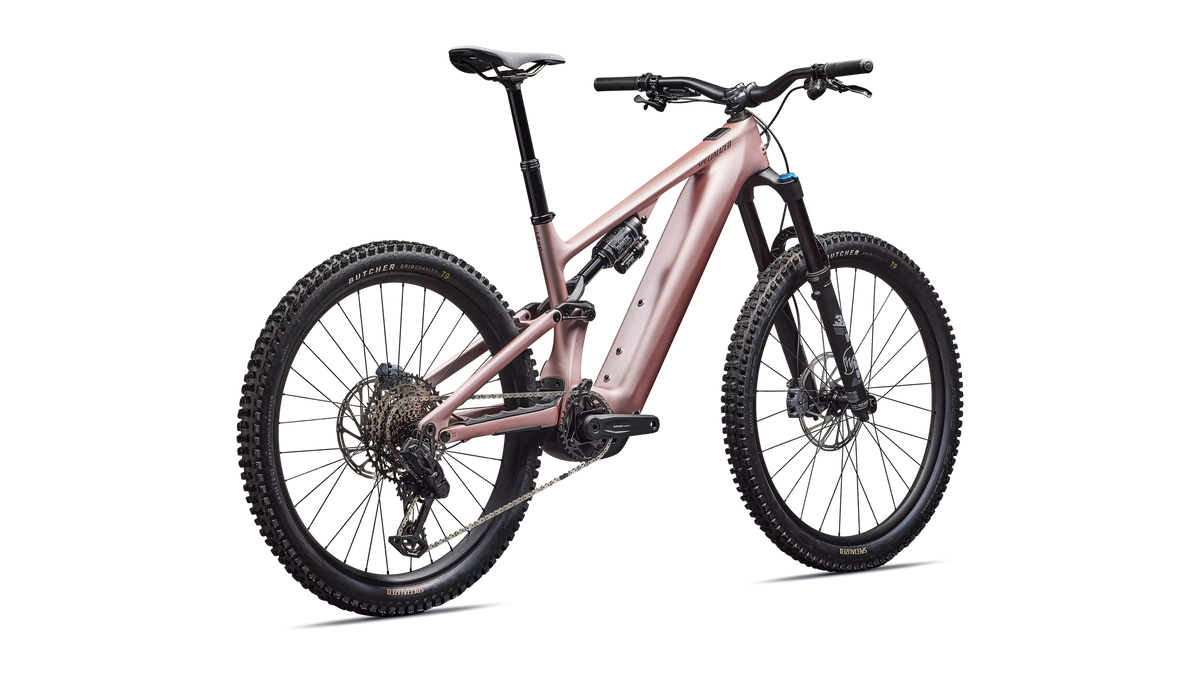Specialized Levo Comp Carbon CHAM-METOBSD, Bild 3