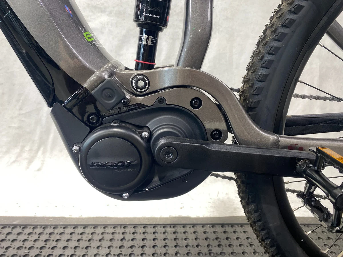 Liv Embolden E+ 1 2025, Bild 2
