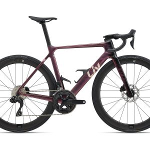 Giant Envie Adv. 1