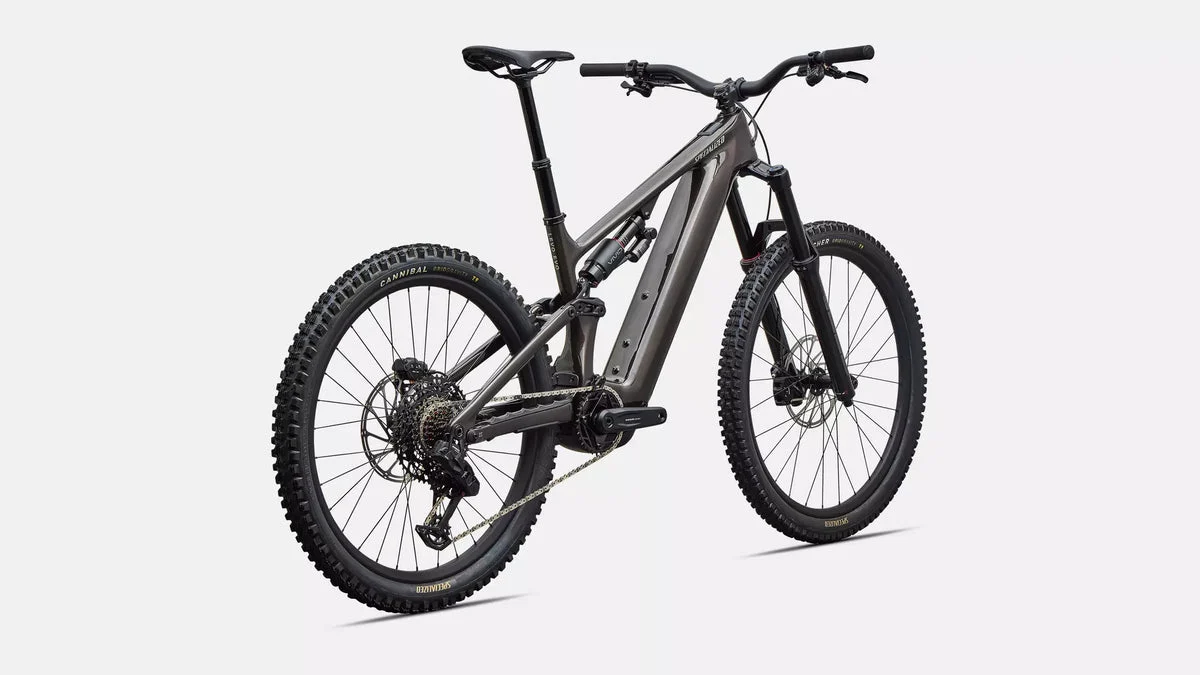 Specialized Levo 4 EVO Comp, Bild 5