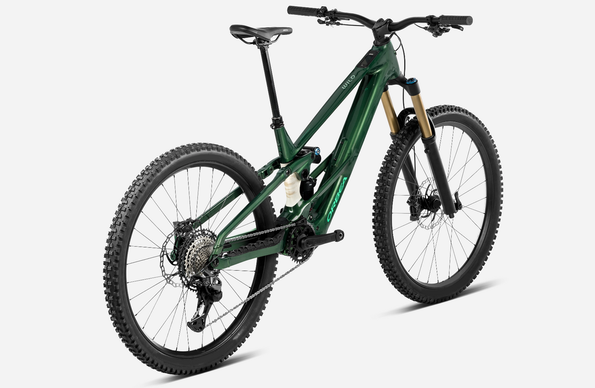 Orbea WILD LT H20 Racing, Bild 3