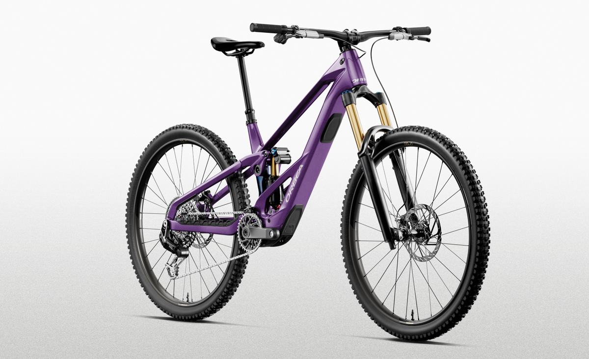 Orbea WILD LT M10 Royal C.View, Bild 2