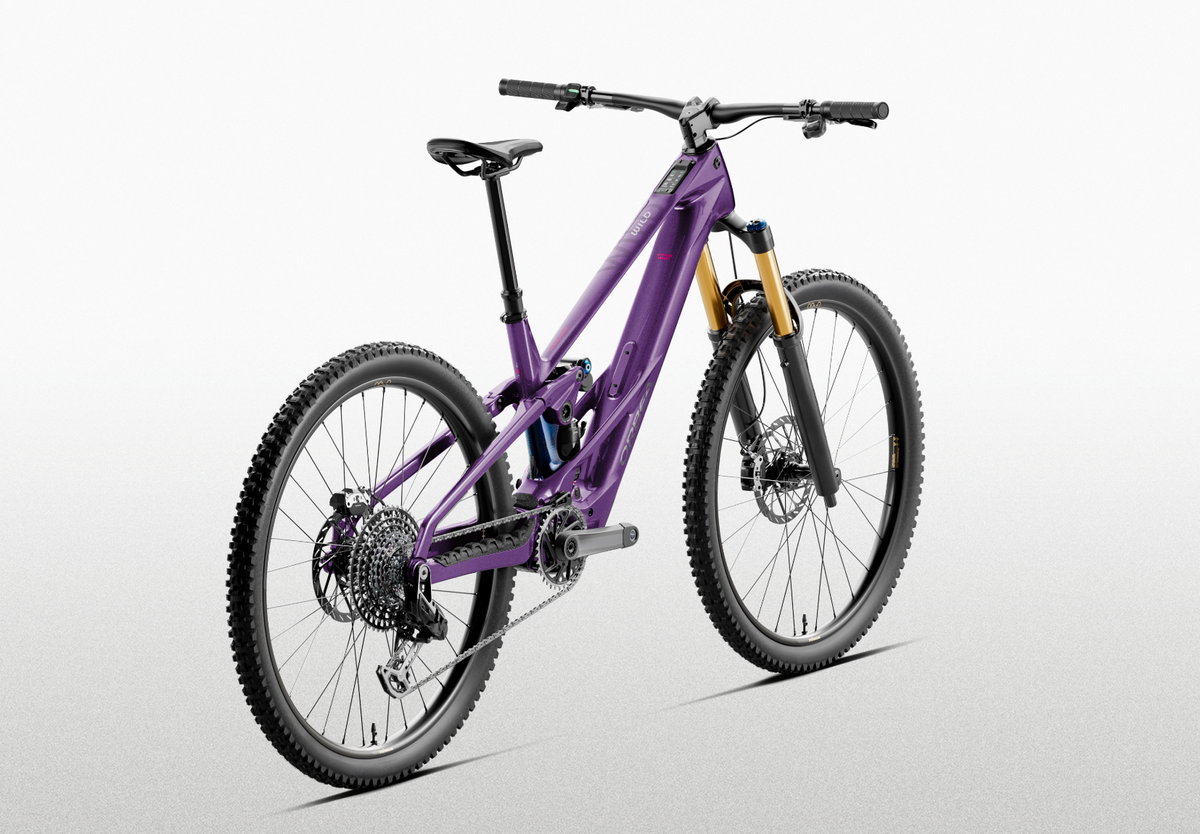 Orbea WILD LT M10 Royal C.View, Bild 3