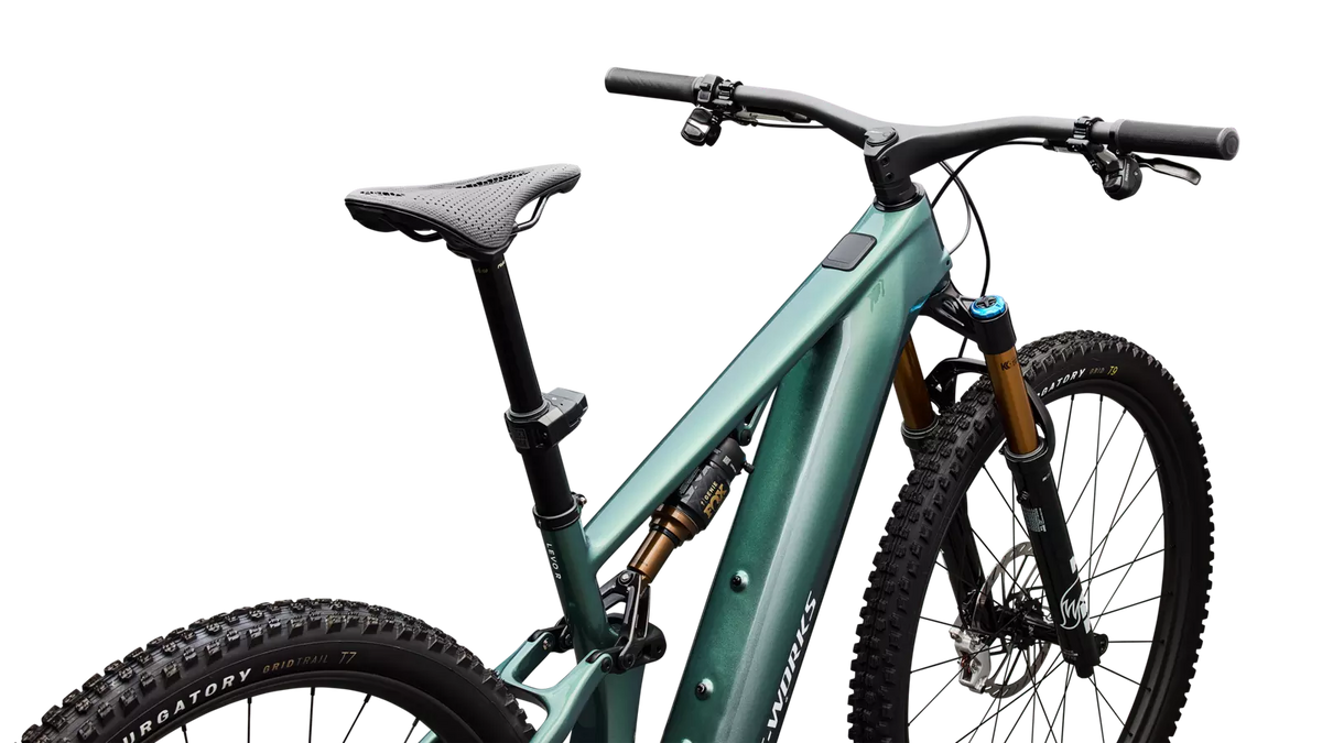 Specialized Levo R, Bild 7