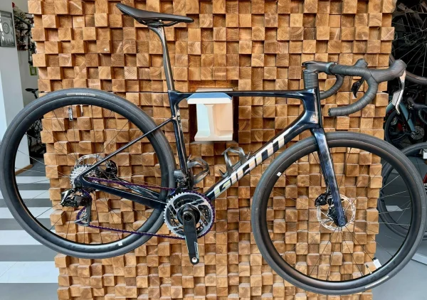 Giant Defy Advanced Custom 2025