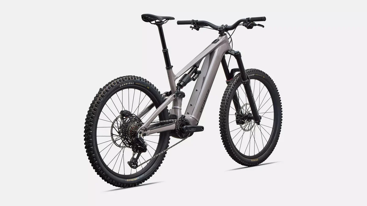 Specialized Levo 4 EVO Comp Alloy, Bild 5
