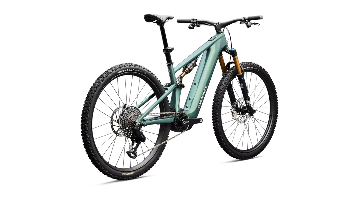 Specialized Levo R, Bild 5