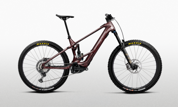 Orbea wild/m m10