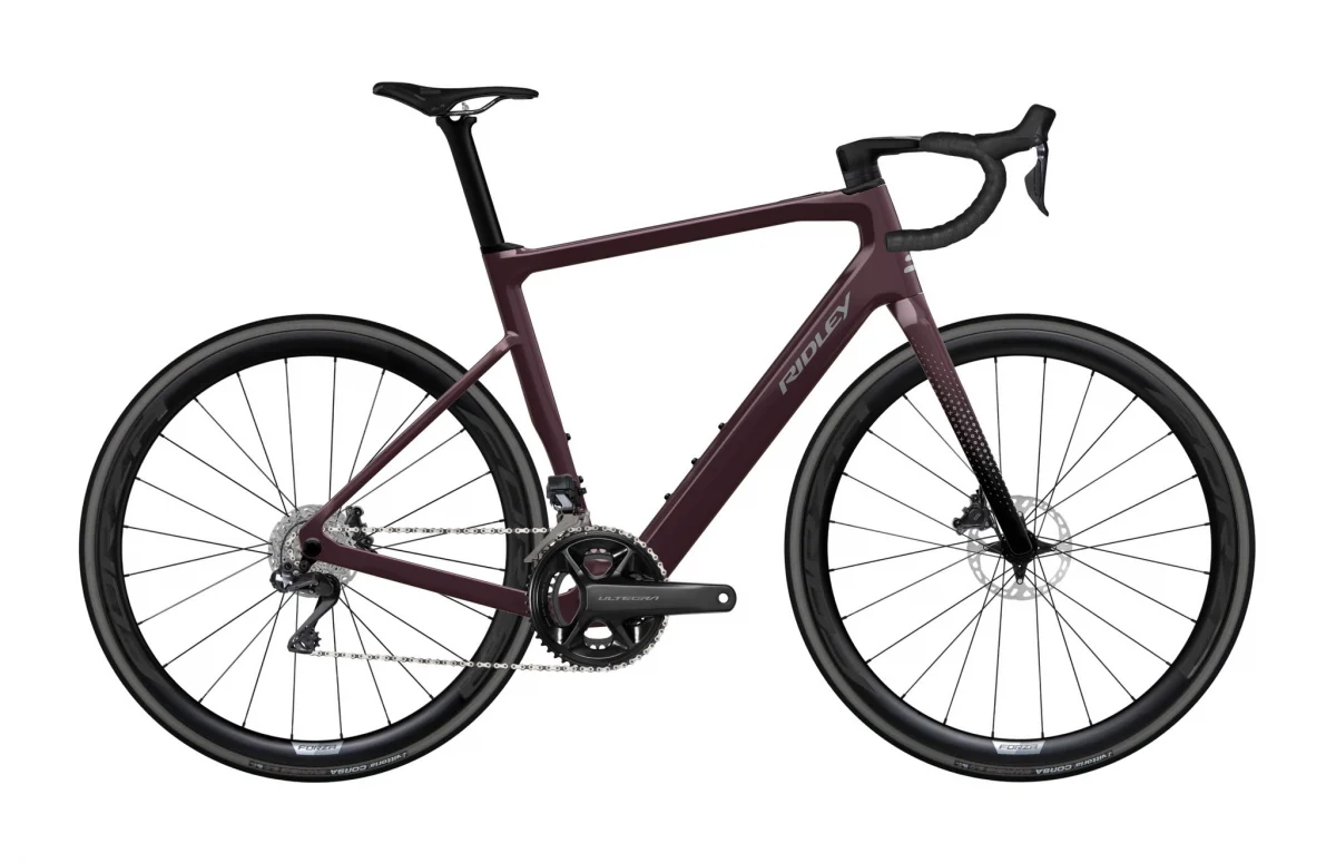 Ridley E-GRIFN, Bild 2
