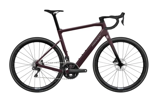 Ridley E-GRIFN
